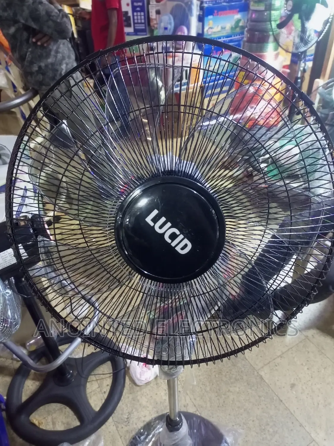 Lucid Stand Fans