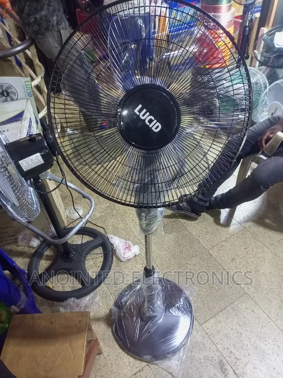 Lucid Stand Fans