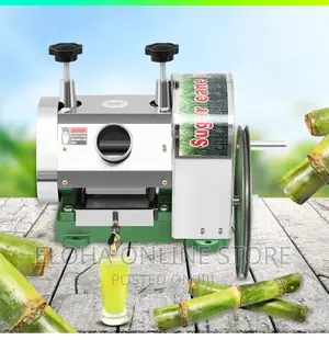 Stainless Steel Manual Sugarcane Juicer Machine