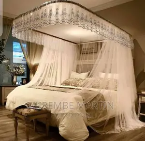 Two Stand Rail Mosquito Net-White