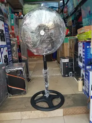 Dplight Stand Fan