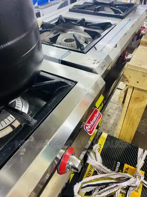 Heavy Duty Industrial Double Burner Gas Stove