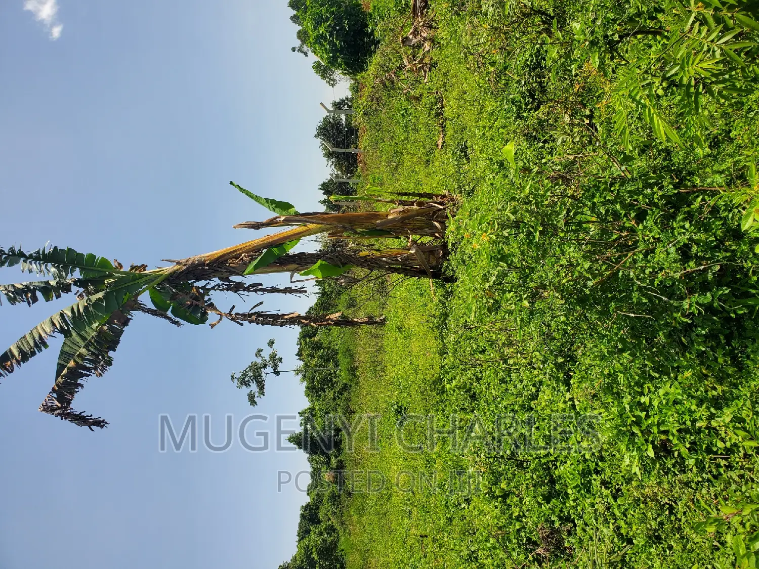 Half Acre for Sale in Mukono