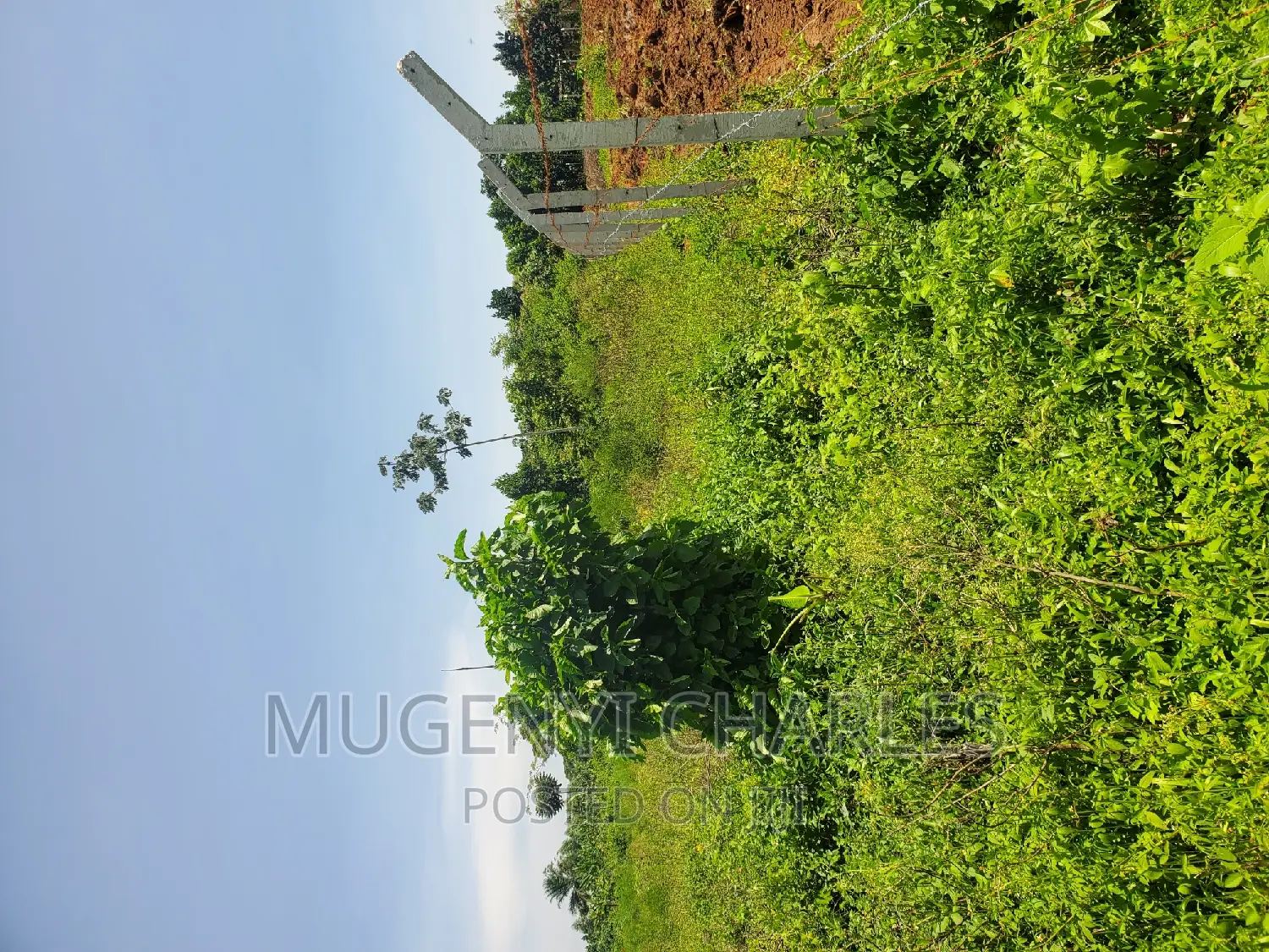 Half Acre for Sale in Mukono