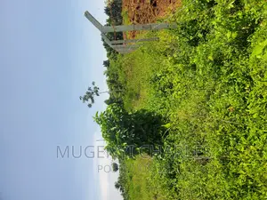 Half Acre for Sale in Mukono