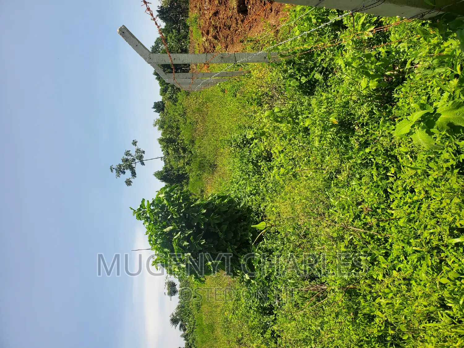 Half Acre for Sale in Mukono