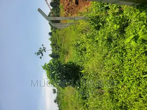 Half Acre for Sale in Mukono