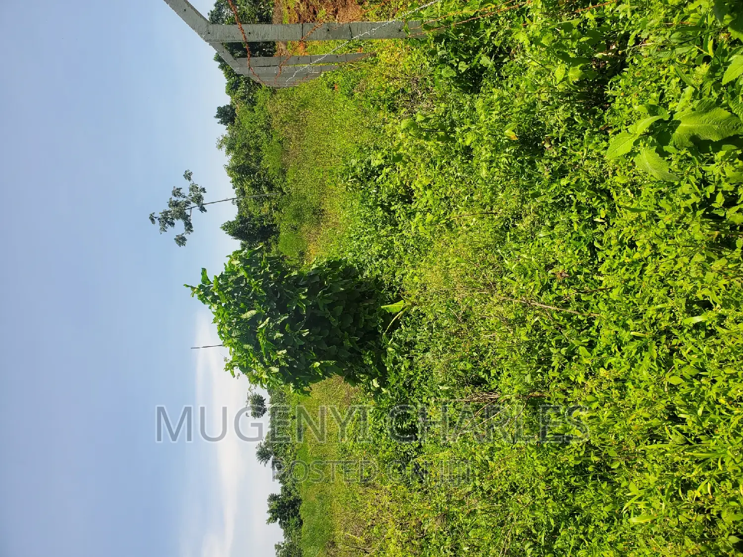Half Acre for Sale in Mukono