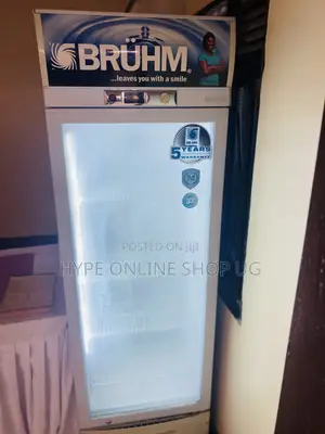 Golden Fridge Glass Cleaning and Other Repairs