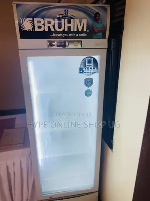 Golden Fridge Glass Cleaning and Other Repairs