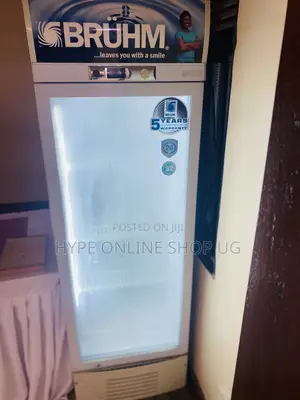 Golden Fridge Glass Cleaning and Other Repairs