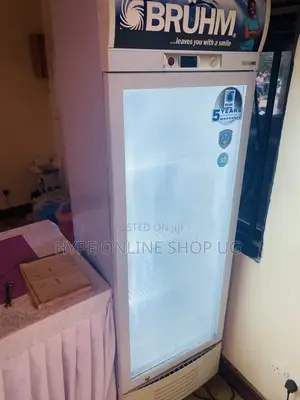 Golden Fridge Glass Cleaning and Other Repairs