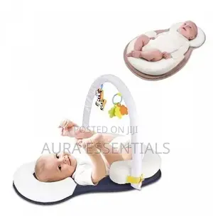 2 in 1 Baby Sleep Positioner