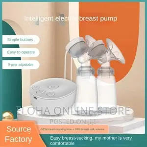 Intelligent Double Electric Pump