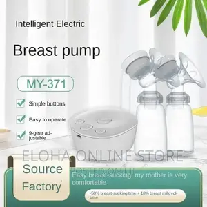 Intelligent Double Electric Pump