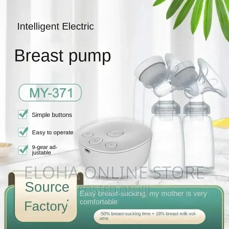Intelligent Double Electric Pump