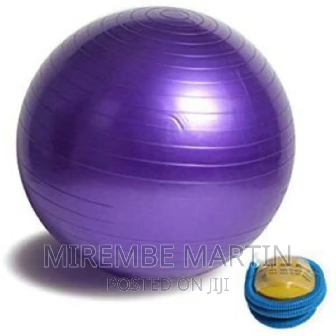 65cm Gym/Yoga Ball With Inflator – Multicolour