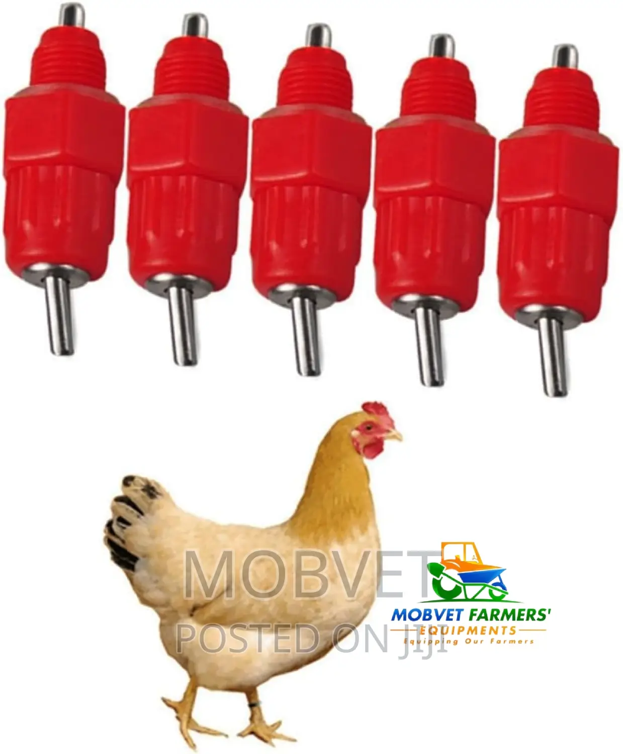 Red Chicken Drinkers