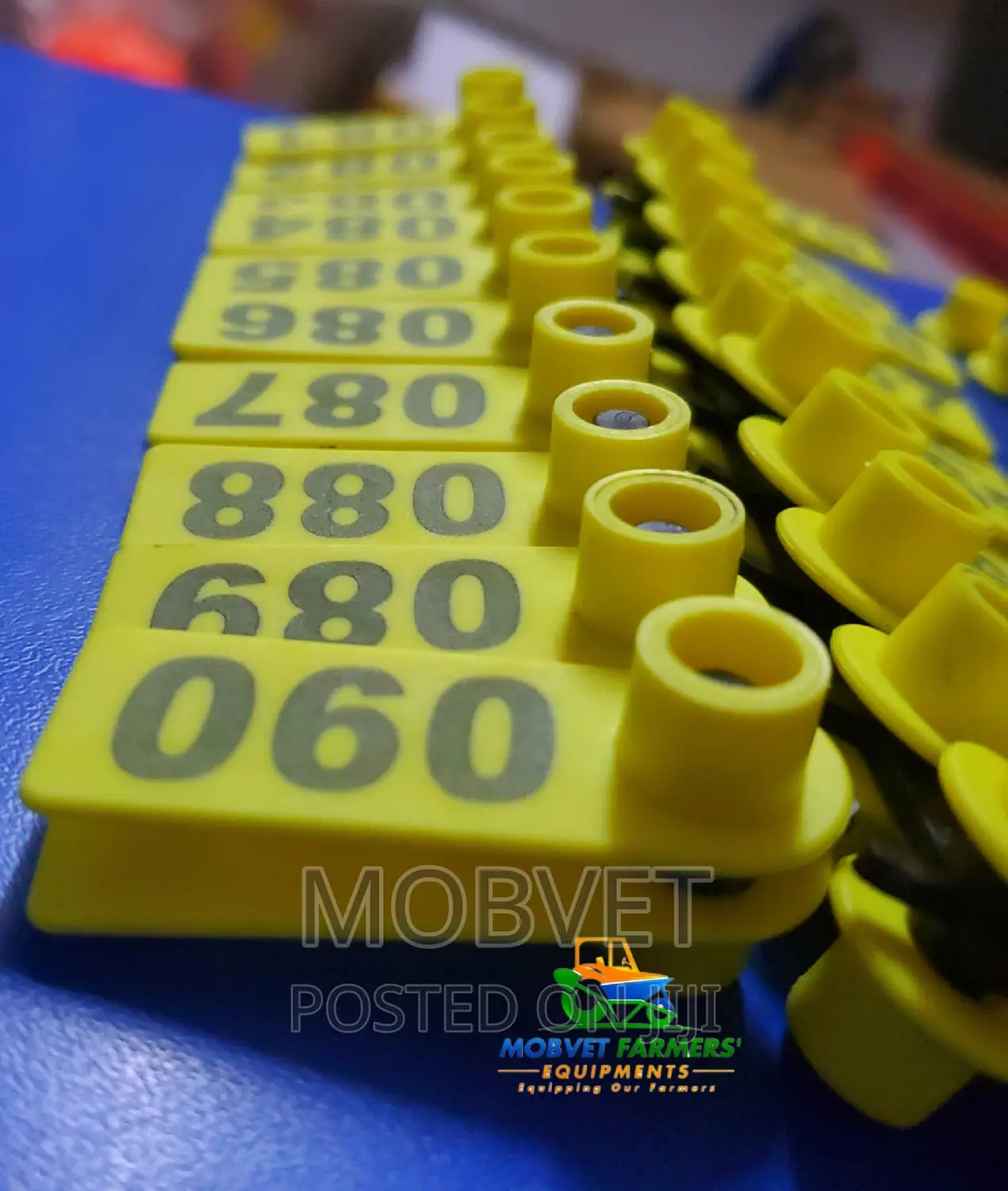 Yellow Slim Numbered Eartags Goat's *
