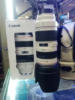 Canon 70-200 1st Generation
