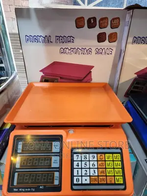 Multifunctional Electronic Scale 40kg