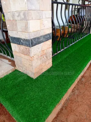 Artificial Turf Grass Carpet/Grass Carpet/Grass Carpet