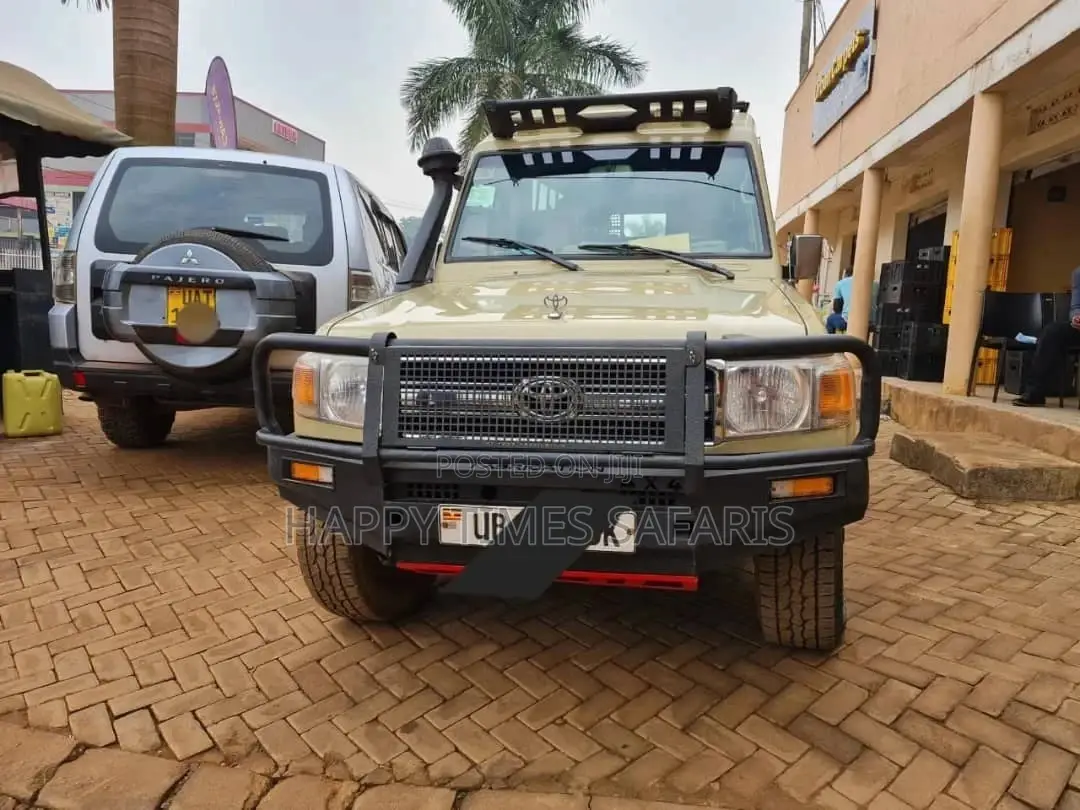 Car Rentals
