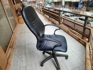 Long Back Office Chair