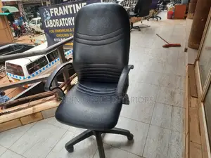 Long Back Office Chair