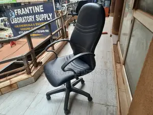 Long Back Office Chair
