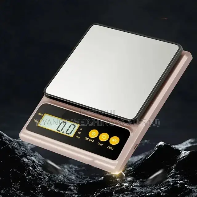 Best Price Electronic Weighing Portable Scales [14]