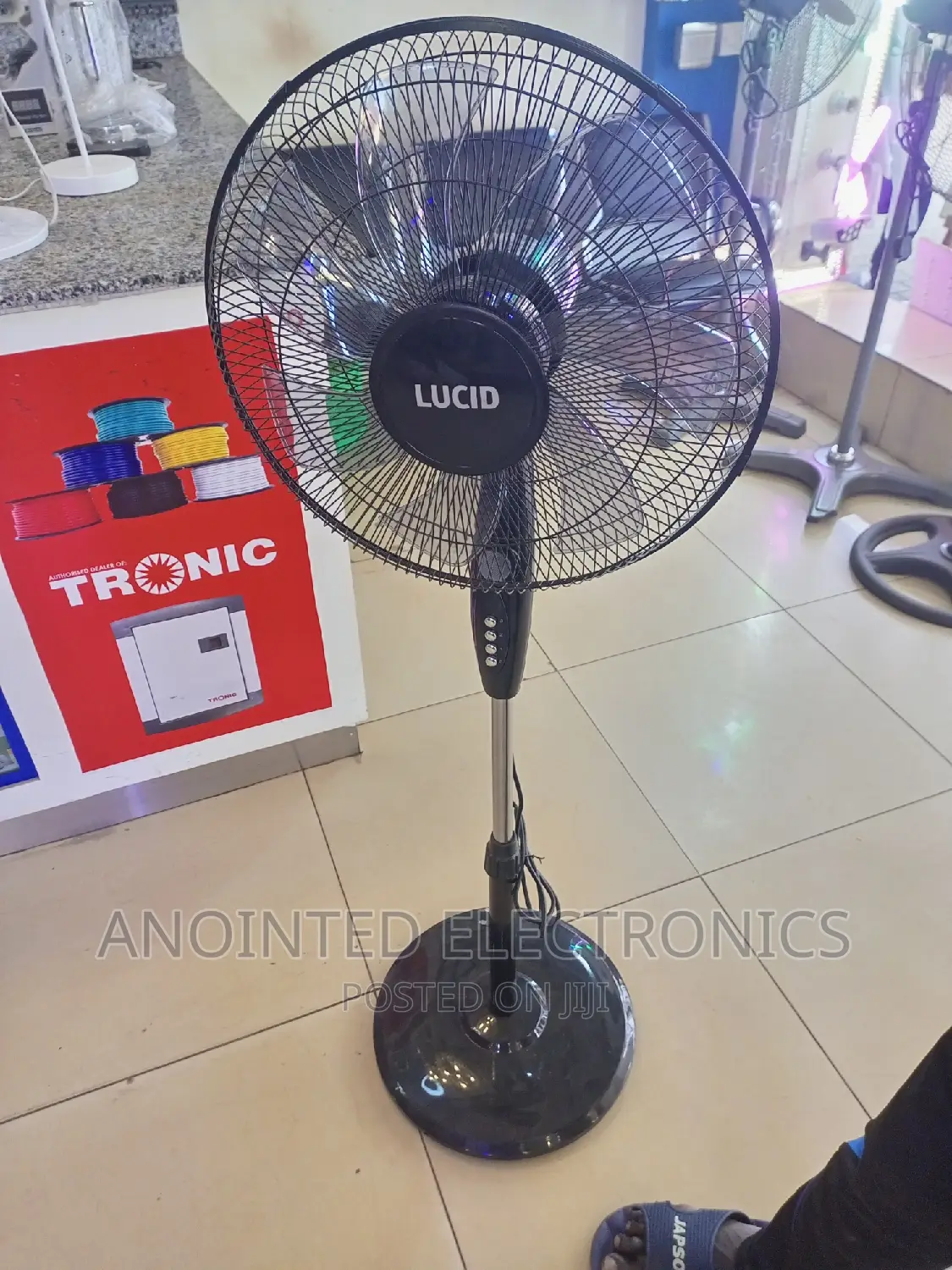 Lucid Stand Fans