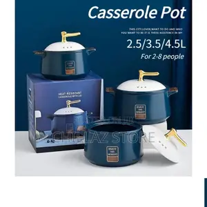 Brand New Casserole Pot.