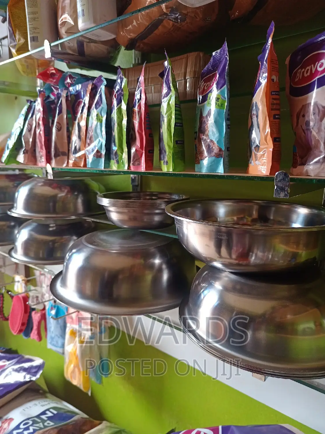 Dog Bowls Z