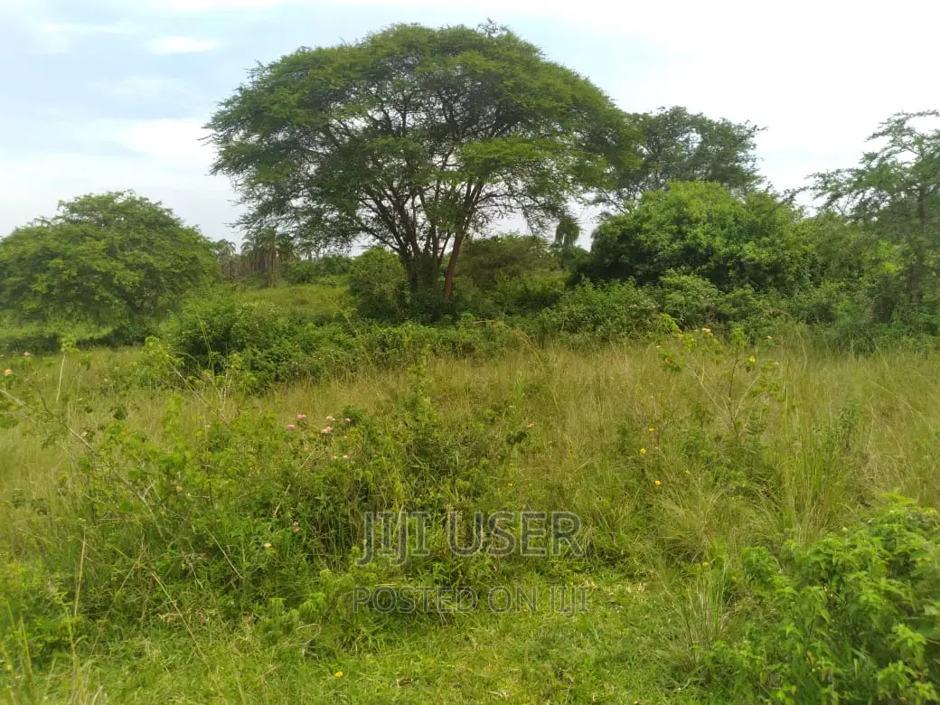250 Acers Mile Land at Lukaya