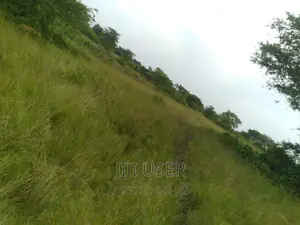 250 Acers Mile Land at Lukaya