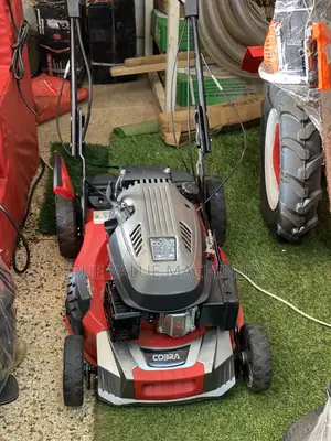 Cobra Lawn Mower