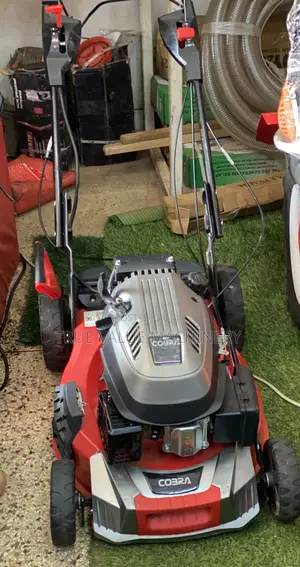 Cobra Lawn Mower