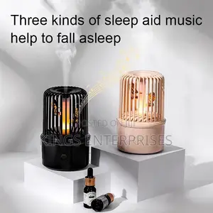 Multifunctional Humidifier