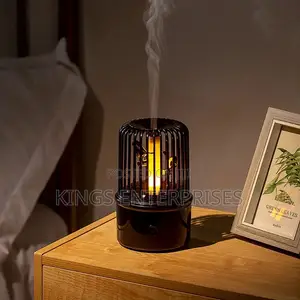 Multifunctional Humidifier