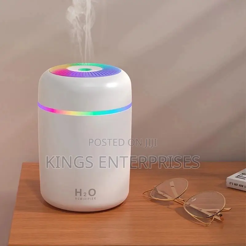 Ultrasonic Portable Humidifier