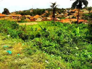 Land for Sale in Matuga 1.7 Acres Along the Main Bombo Rd