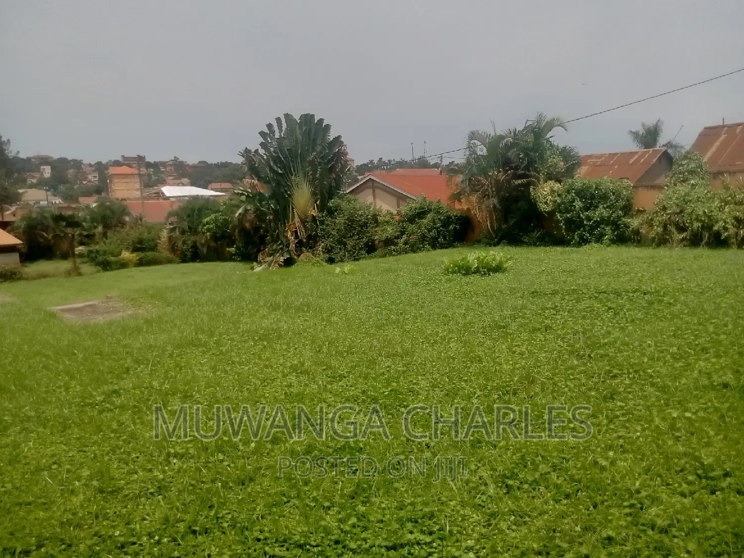 50decimals of Land for Sale