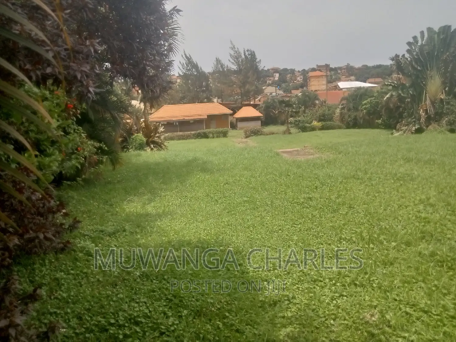50decimals of Land for Sale