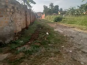 Quick 30decimals Plot for Sale in Bukoto