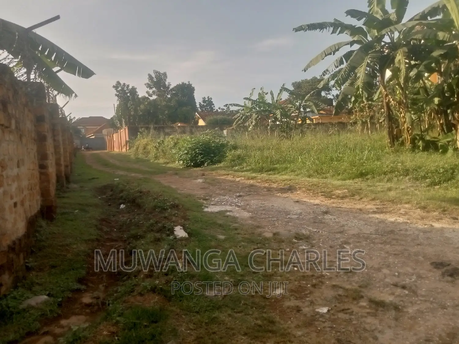 Quick 30decimals Plot for Sale in Bukoto