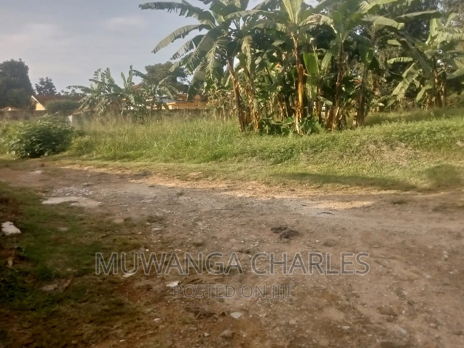 Quick 30decimals Plot for Sale in Bukoto