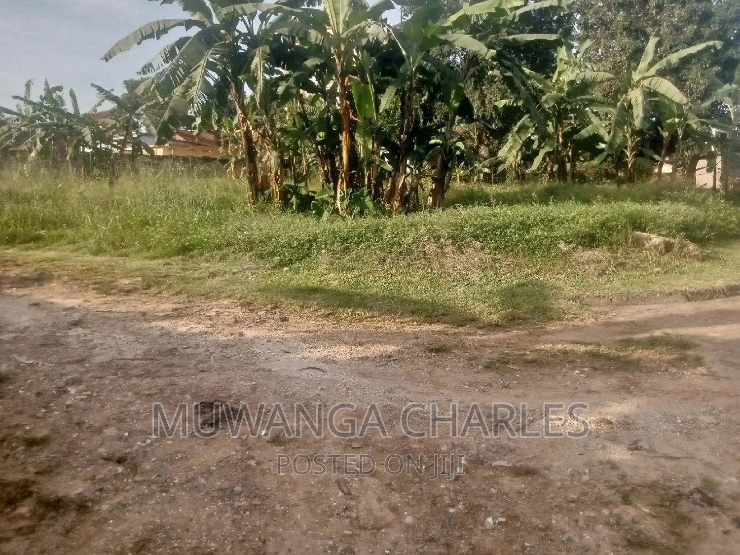Quick 30decimals Plot for Sale in Bukoto