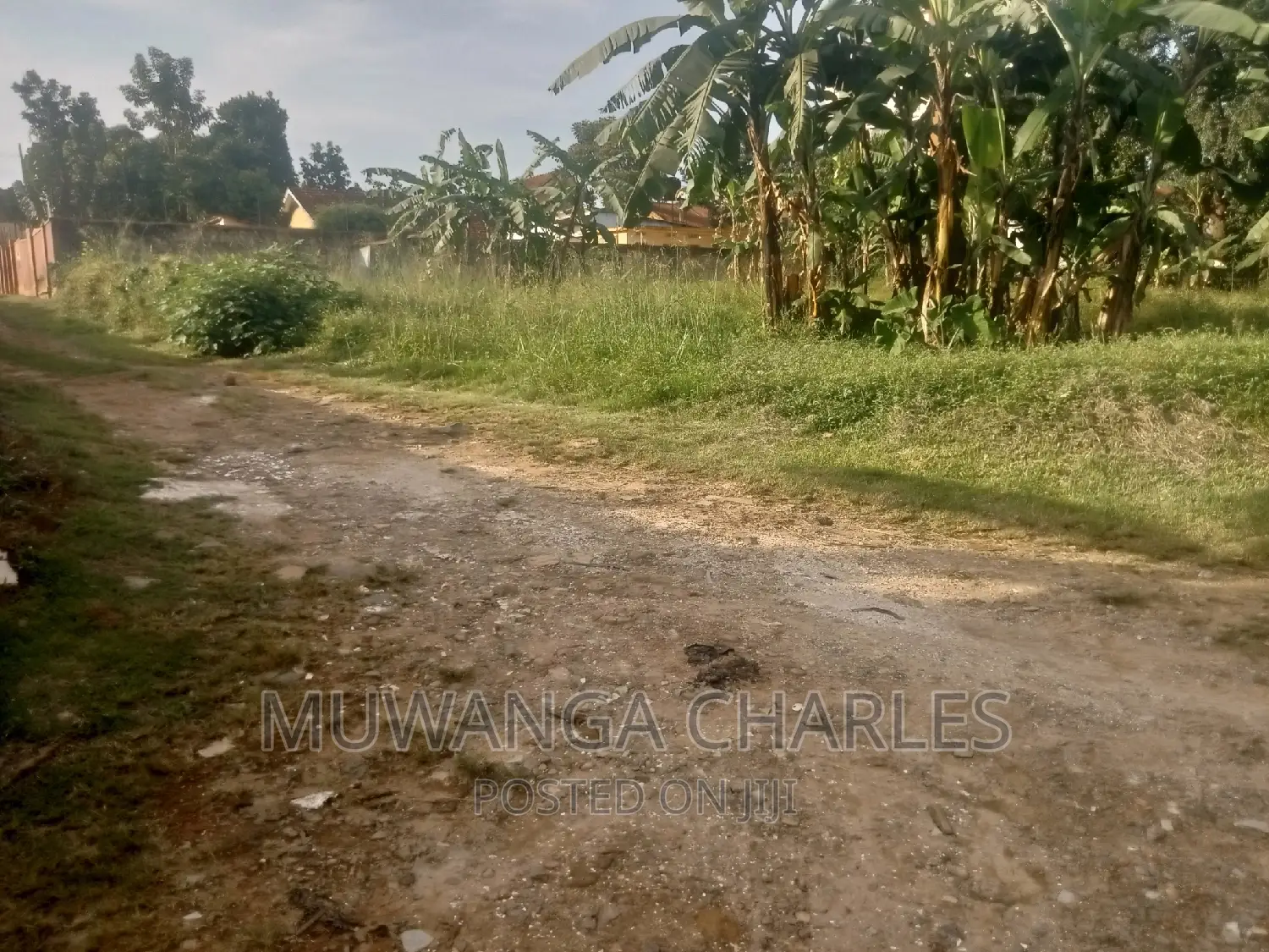 Quick 30decimals Plot for Sale in Bukoto