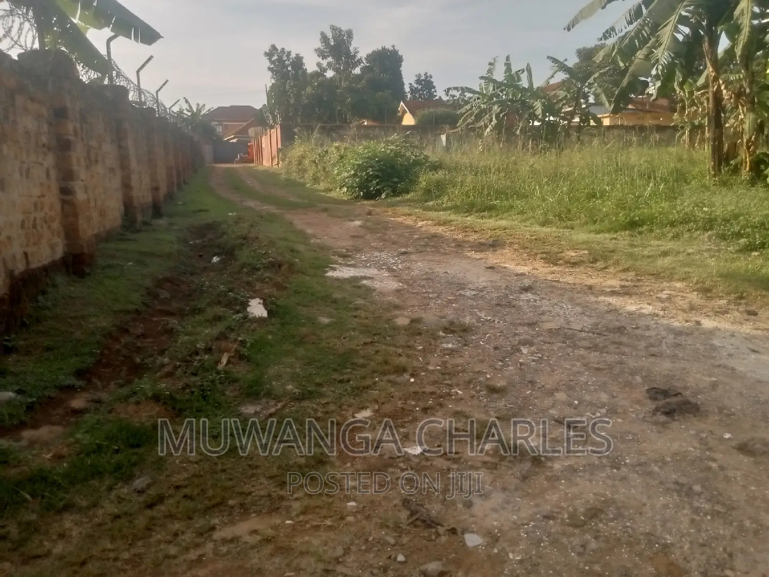 Quick 30decimals Plot for Sale in Bukoto